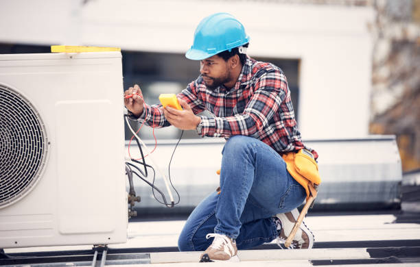 Best Local Electrician Companies  in Island Walk, FL